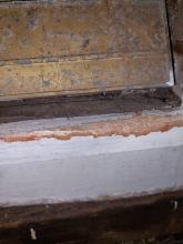 Rat damage