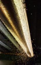 Yellow Swarming Flies