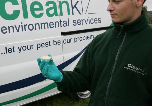 Cleankill pest controller in front of van