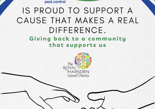 Cleankill and Royal Marsden