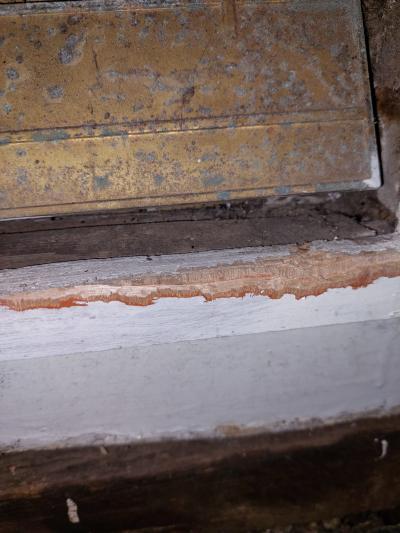Rat damage