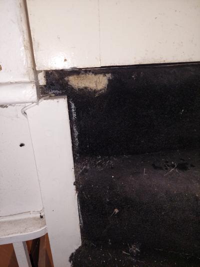 Rat damage